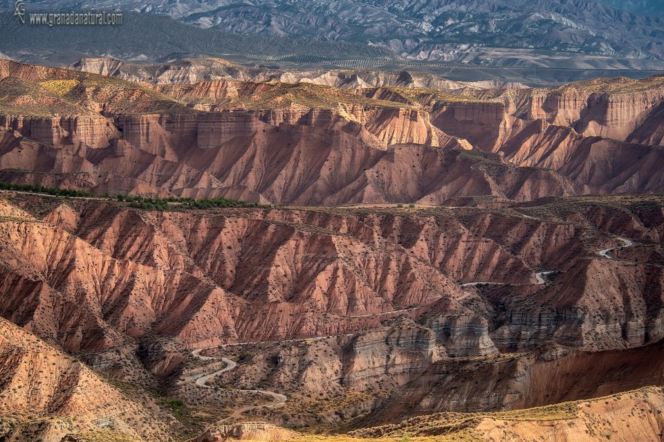 Gorafe: The Coloraos Desert 4x4 Tour - Adventure Highlights