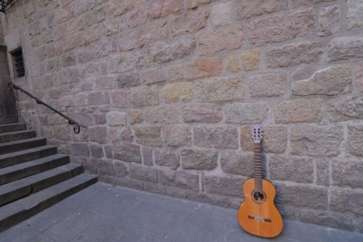 Gothic Quarter Tour With Live Flamenco Guitar - Language and Accessibility Information