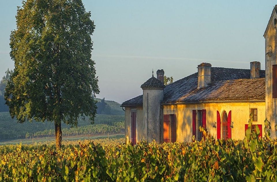 Gourmet Experience at Chateau Sigalas Rabaud Premier Cru - Pricing and Duration