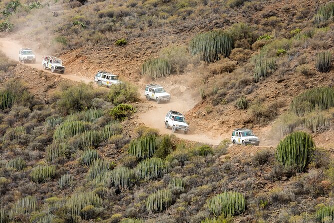 Gran Canaria 4x4 Adventure With Optional Camel Ride - Camel Ride Experience