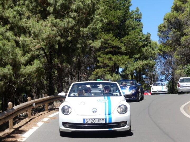 Gran Canaria: Convertible Beetle Tour - Experience Highlights