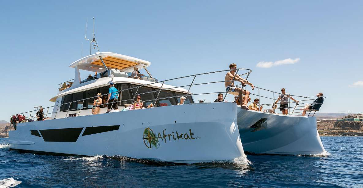Gran Canaria: Fun Catamaran Cruise With Food and Drinks - Multilingual Support and Accessibility