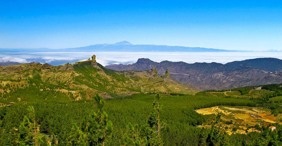 Gran Canaria Highlights Full-Day Tour by Bus - Tour Details