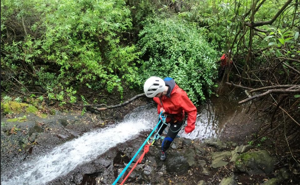 Gran Canaria: Rainforest Canyoning Tour With Gear and Snack - Group Size and Instructor Details