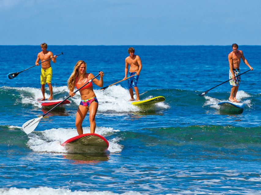 Gran Canaria: Stand-Up Paddle Lesson & Snorkeling Tour - Experience Highlights