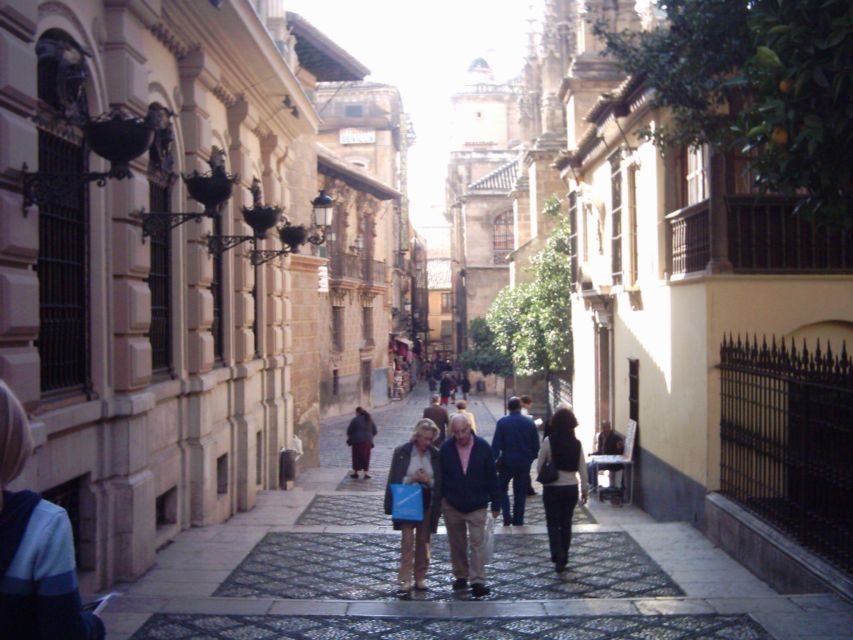 Granada (Albaicín) Private Guided Walking Tour - Historical Experience Highlights