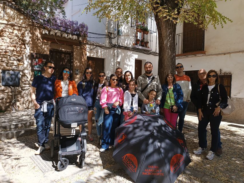 Granada: Historic Center and Lower Albaicin Walking Tour - Activity Description