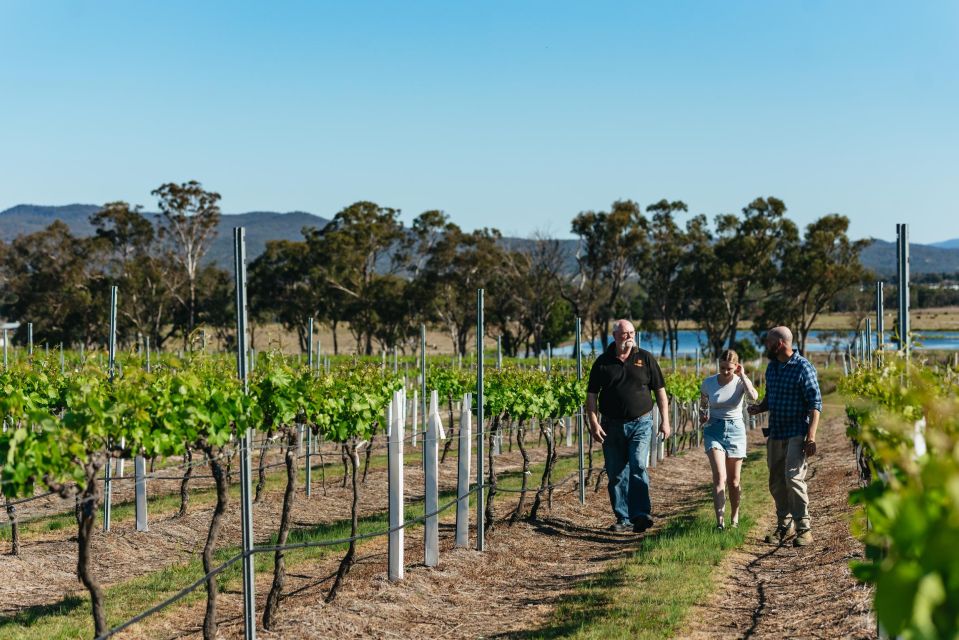 Granite Belt: Winemakers Winetasting Experience & Cheese - Language and Accessibility