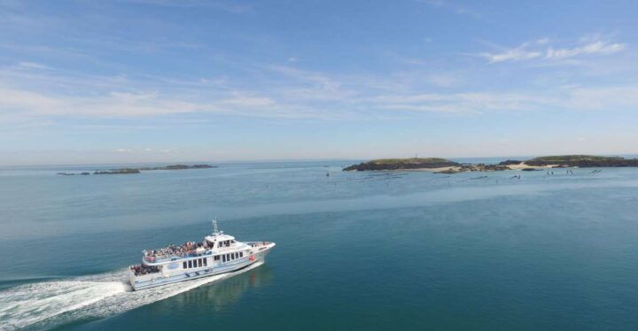 Granville: Boat Trip in the Bay of Mont St Michel - Highlights