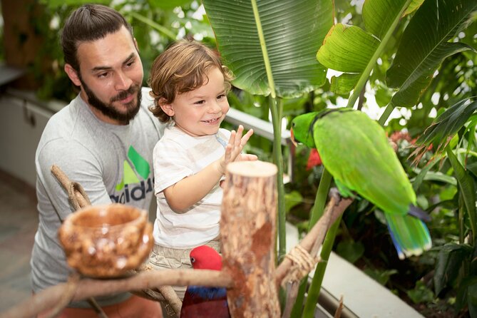 Green Planet Dubai - Rainforest Experience