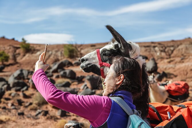 Guided Awesome 2-Hour Llama Hikes Private Experience - Logistics