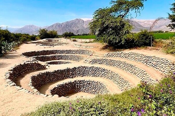 Guided Cantalloc Aqueduct Tour in Nazca - Small Group - Small Group Experience