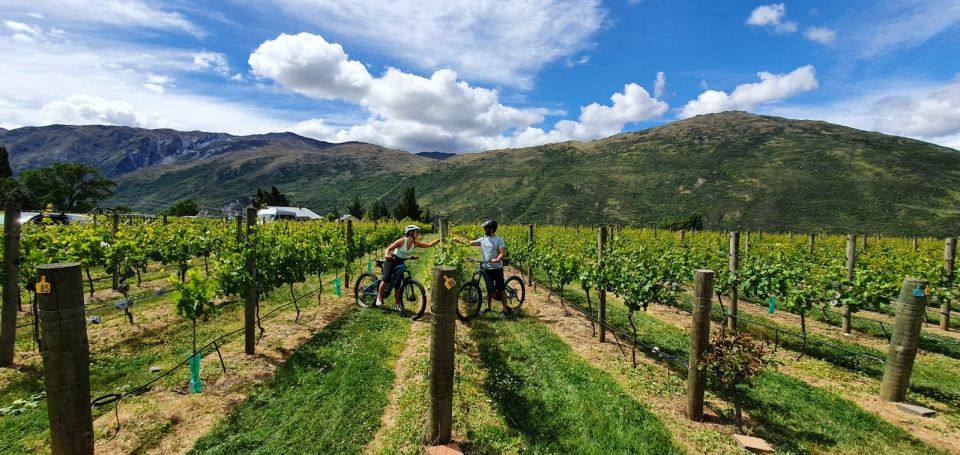 Guided E-Bike Wine Tour Ride to the Vines - Activity Duration and Schedule