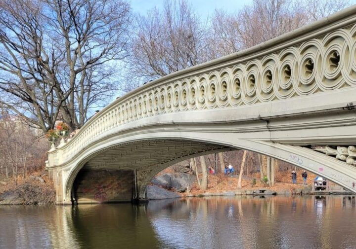 Guided Express Pedicab Tour in Central Park - Tour Highlights