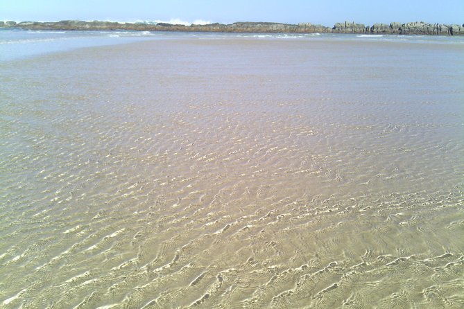 Guided Marine Walk: Sardinia Bay (Marine Protected Area) - 1 & Half Hour - Inclusions and Logistics