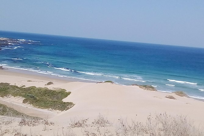 Guided Marine Walk: - Sardinia Bay (Marine Protected Area) - 3 Hours - What to Expect