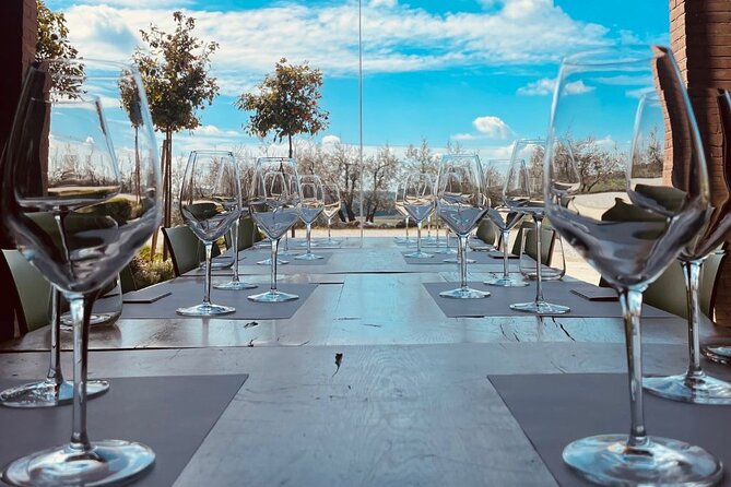 Guided Premium Tour in Lugana DOC - 5 Wines From Perla Del Garda - Vineyard Tour Details