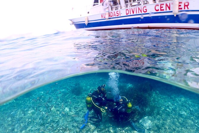Guided Scuba Diving Experience in Kusadasi - Pricing Information