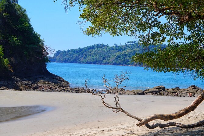 Guided Tour of the National Park Manuel Antonio - Wildlife Encounters