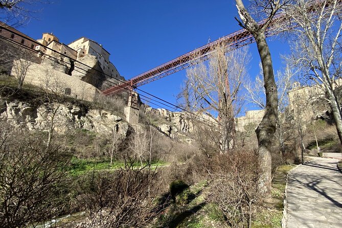 Guided Tour Through Nature and the Historic Center of Cuenca - Flora and Fauna Encounters