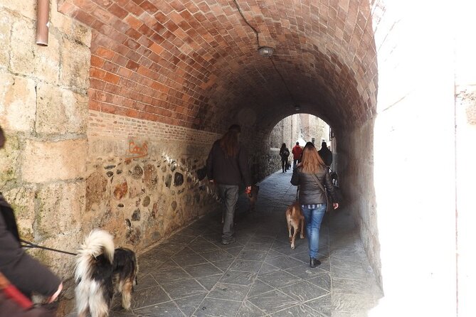 Guided Visit to the Realejo With Dogs - Tips for Dog Owners Visiting Realejo