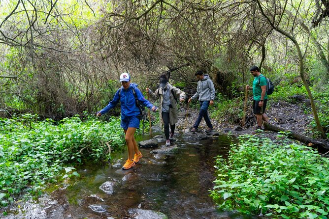 Guided Walking Route to Caldera De Taburiente - Scenic Views and Natural Wonders