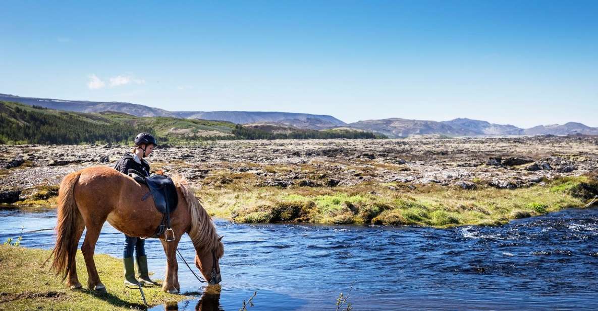 Hafnarfjörður: Horseback Riding Tour in Reykjavik Area - Experience Highlights