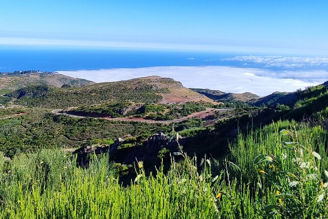 Half-Day 7 to 12 Private Group Madeira "Mystery Tour" 4x4 Jeep - Inclusions and Services