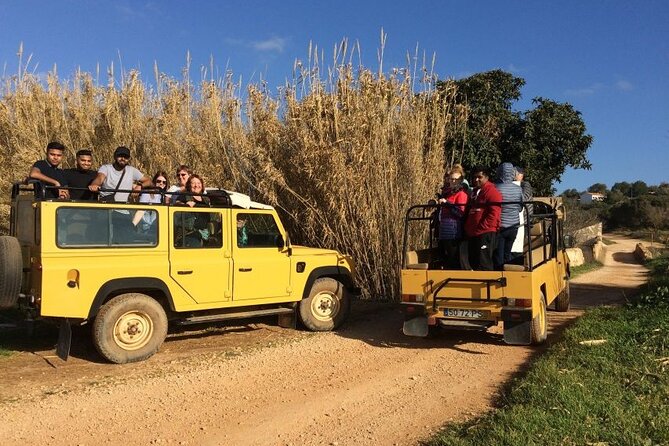 Half-Day Algarve Jeep Safari Sunset Tour - What to Expect