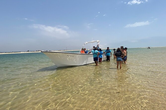 Half-Day Boat Trip to the Ria Formosa Islands - Island Activities
