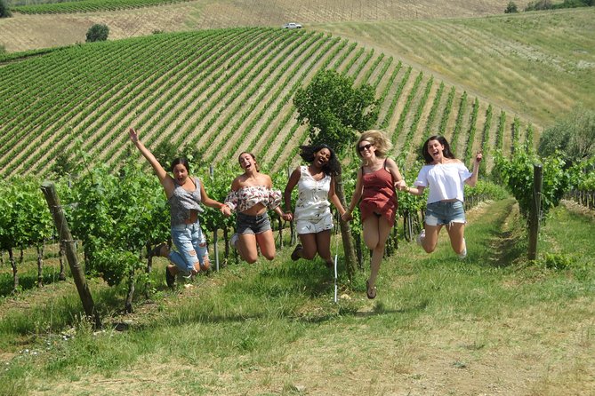 Half-Day Chianti Wine Tour From Florence - Small Group - Customer Testimonials