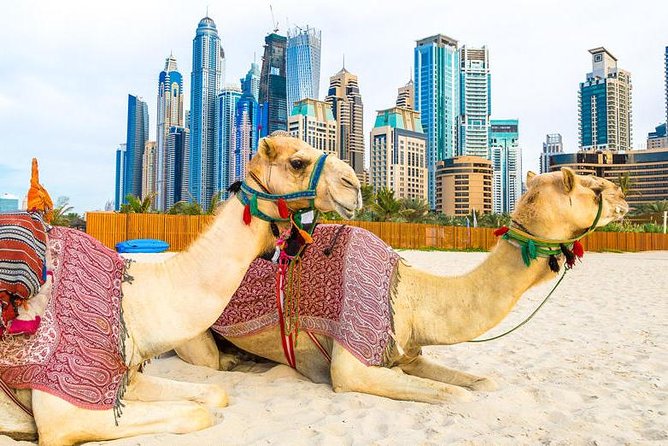 Half Day Dubai City Tour and Evening Desert Safari Combo - Exclusions
