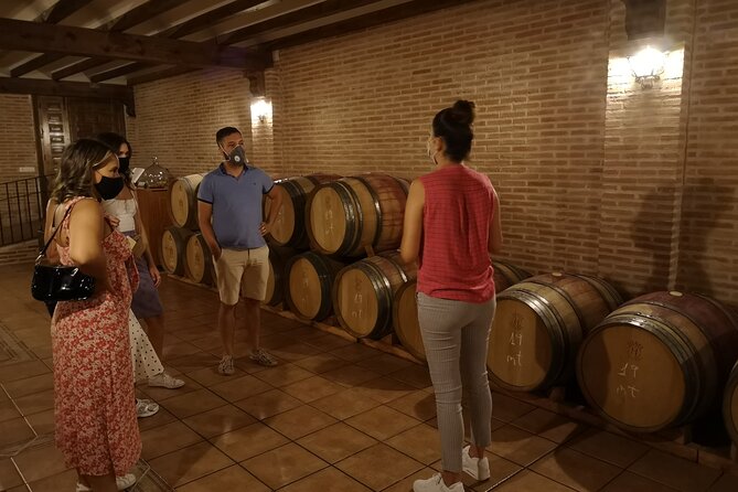Half-Day Guided Tour to a Winery From Madrid - Pricing Details
