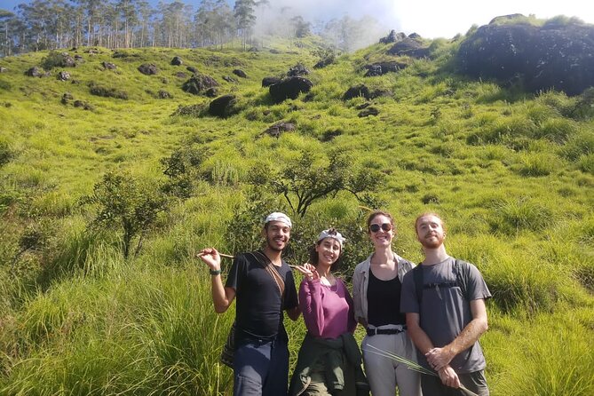 Half Day Hiking in Munnar Trekking Tour - Half-Day Trekking Itinerary