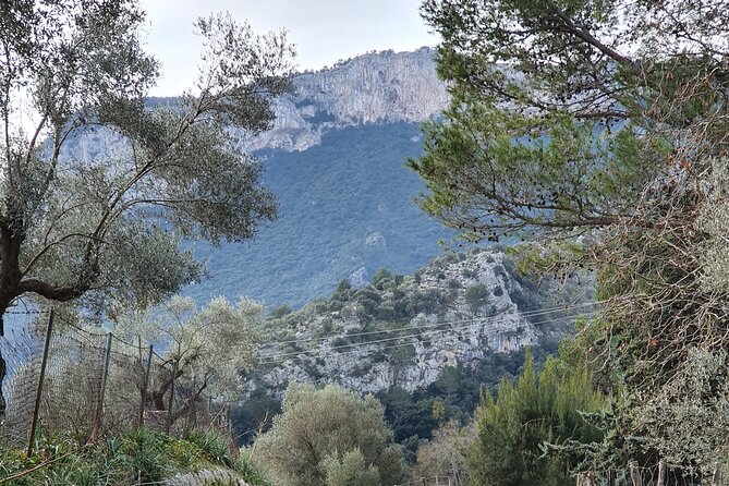 Half-Day Mountain Bike Experience to Serra De Tramuntana, - Participant Requirements