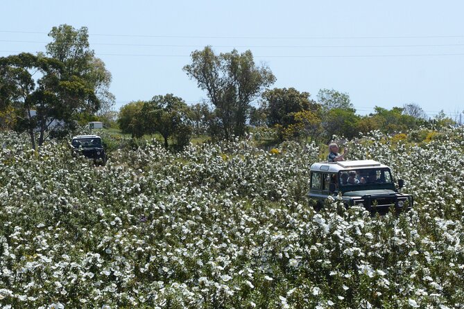 Half-Day Nature Safari in the Algarve - Customer Support