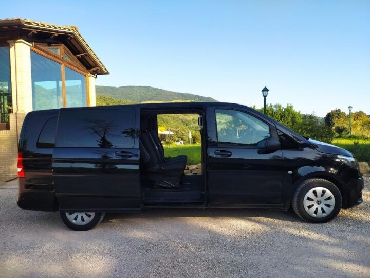 Half Day or Full Day Van Rental With Driver at Your Disposal - Activity Highlights