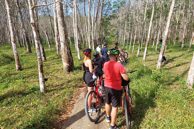 Half-Day Phukets Hidden Trails Biking Adventure Small-Group Tour - Tour Information and Requirements