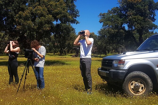 Half Day Safari 44 Through the Monfragüe National Park PICNIC - Wildlife Encounters