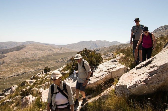 Half-Day Swartberg Pass PRIVATE Tour (Including Lunch & Transfer - Oudtshoorn) - Reviews and Ratings