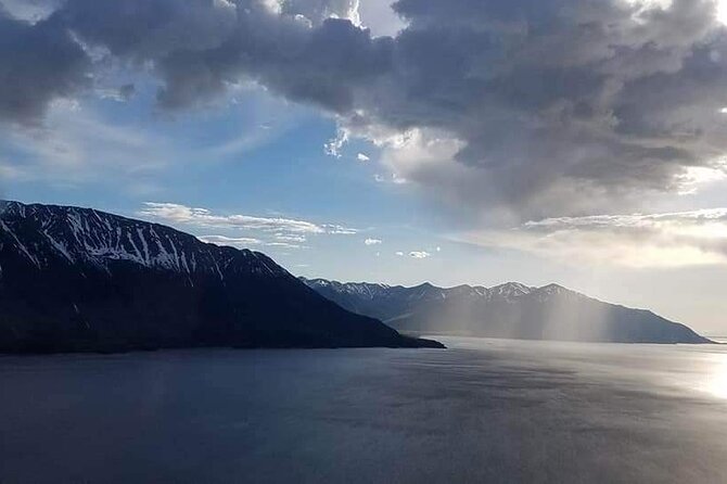 Half Day Tour in Turnagain Arm With Stop for Wildlife and Scenery - Itinerary Details