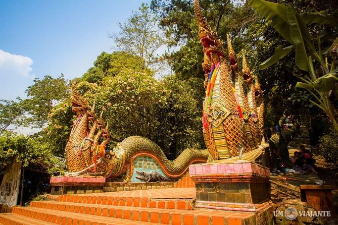 Half Day Tour: Wat Doi Suthep & Phu Ping Palace From Chiang Mai - Meeting Points and Times