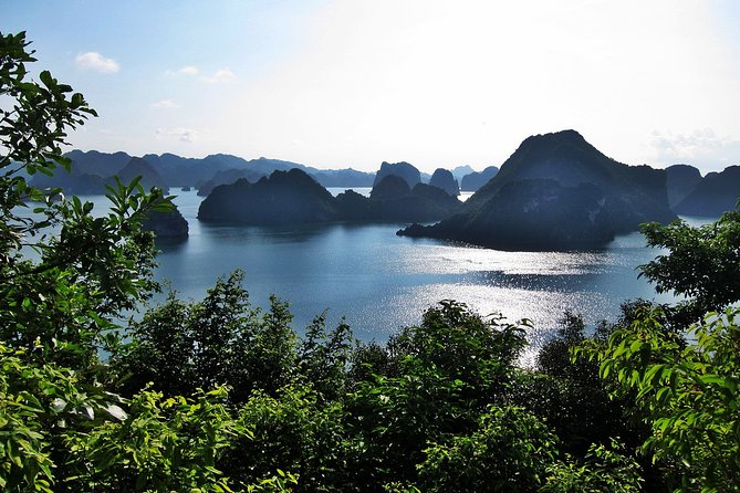 Halong Bay 2 Days/1 Night With Orchid Cruises 5 Star - Highlighted Attractions