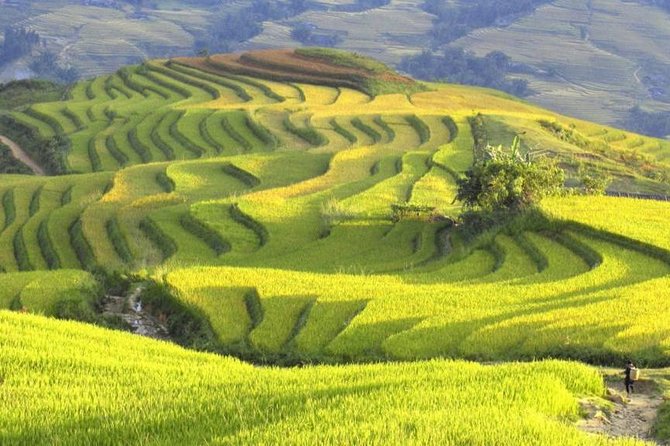 Hanoi-Sapa Trek 2 Days 2 Nights and Homestay With Small Group - Booking Information