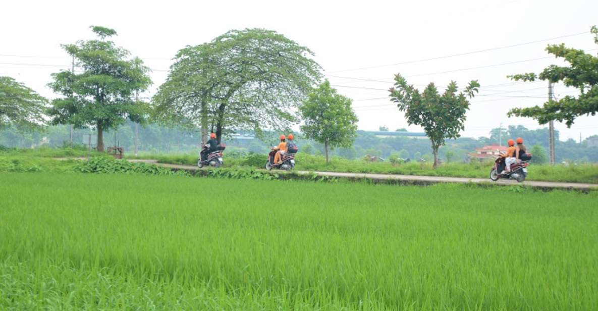 Hanoi Scooter Tour of Countryside, Rice Fields & Local Home - Tour Highlights