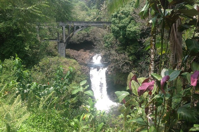 Heavenly Hamakua: From Kona - Pickup Services Information