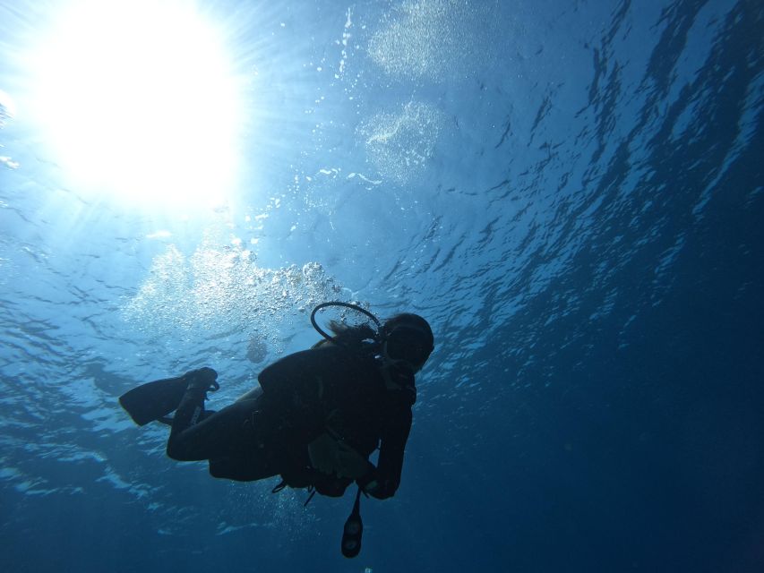 Heraklion: Scuba Diving Trip for Beginners - Experience Description