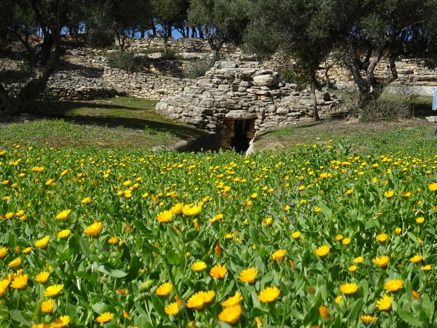 Heraklion: Springtime Plant Walk and Birdwatching in Nature - Itinerary