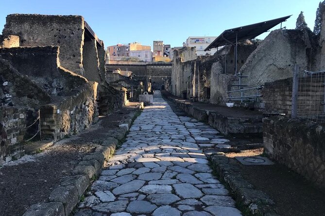 Herculaneum - Private Tour (Skip-The-Line Admission Included) - Customer Reviews