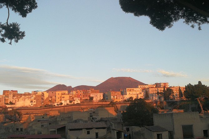 Herculaneum With an Archaeologist, the Original !!!! - Archaeological Insights